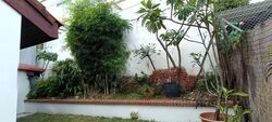 Frankel Estate (D15), Semi-Detached #566101161